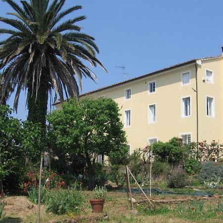 Bed and Breakfast Casa Marce A "Sonno" Porcari Exteriér fotografie