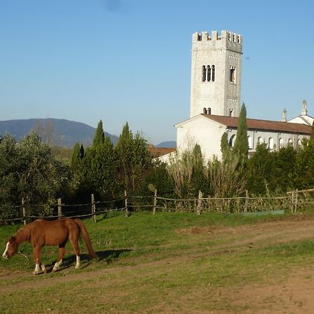 Bed and Breakfast Casa Marce A "Sonno" Porcari Exteriér fotografie